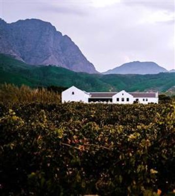 1 Day Stellenbosch-Franschhoek Wine Tour