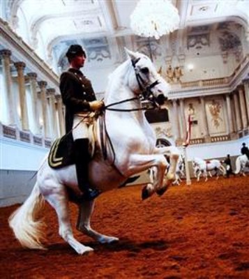 L'école Espagnole d'Équitation